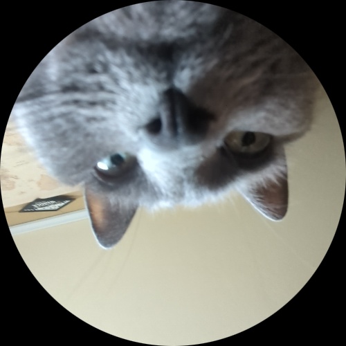 Sweetly.cat: big k (Here, United States of America)